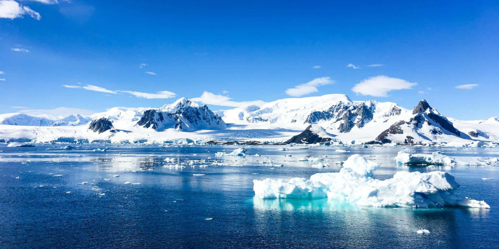 Planning Your First Antarctica Cruise? Here Is What You Should Know