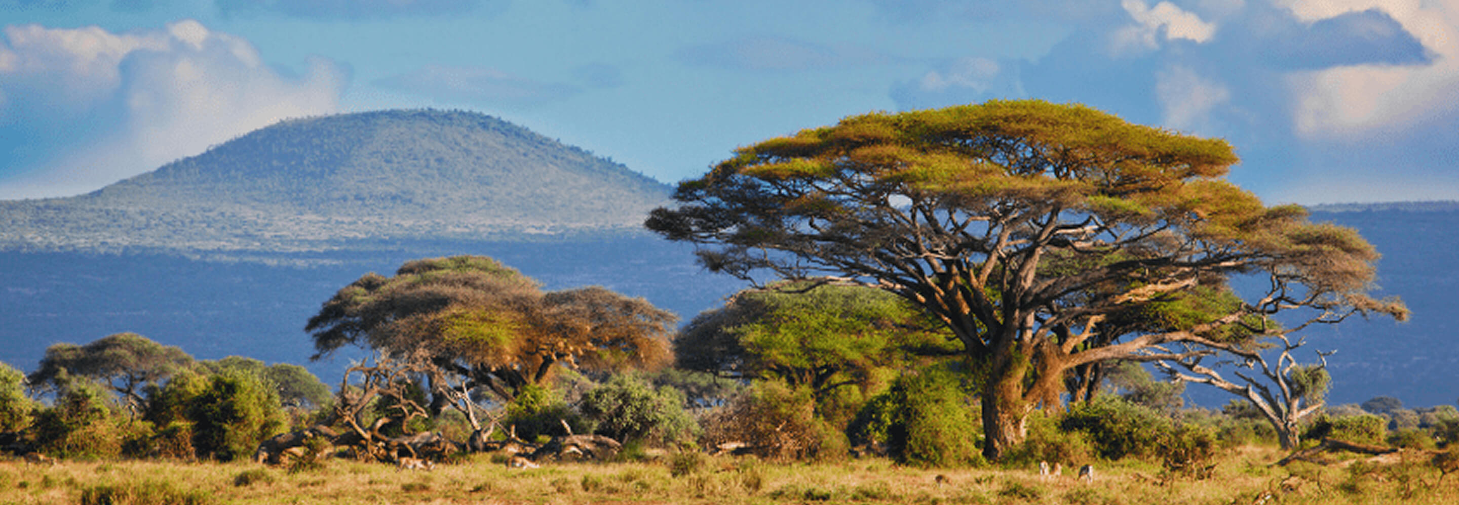 Destination Detail Banner